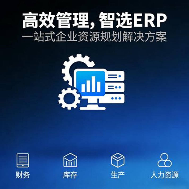软件定制开发:企业转型升级的高效工具